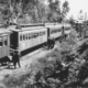 Excursion Train 1937